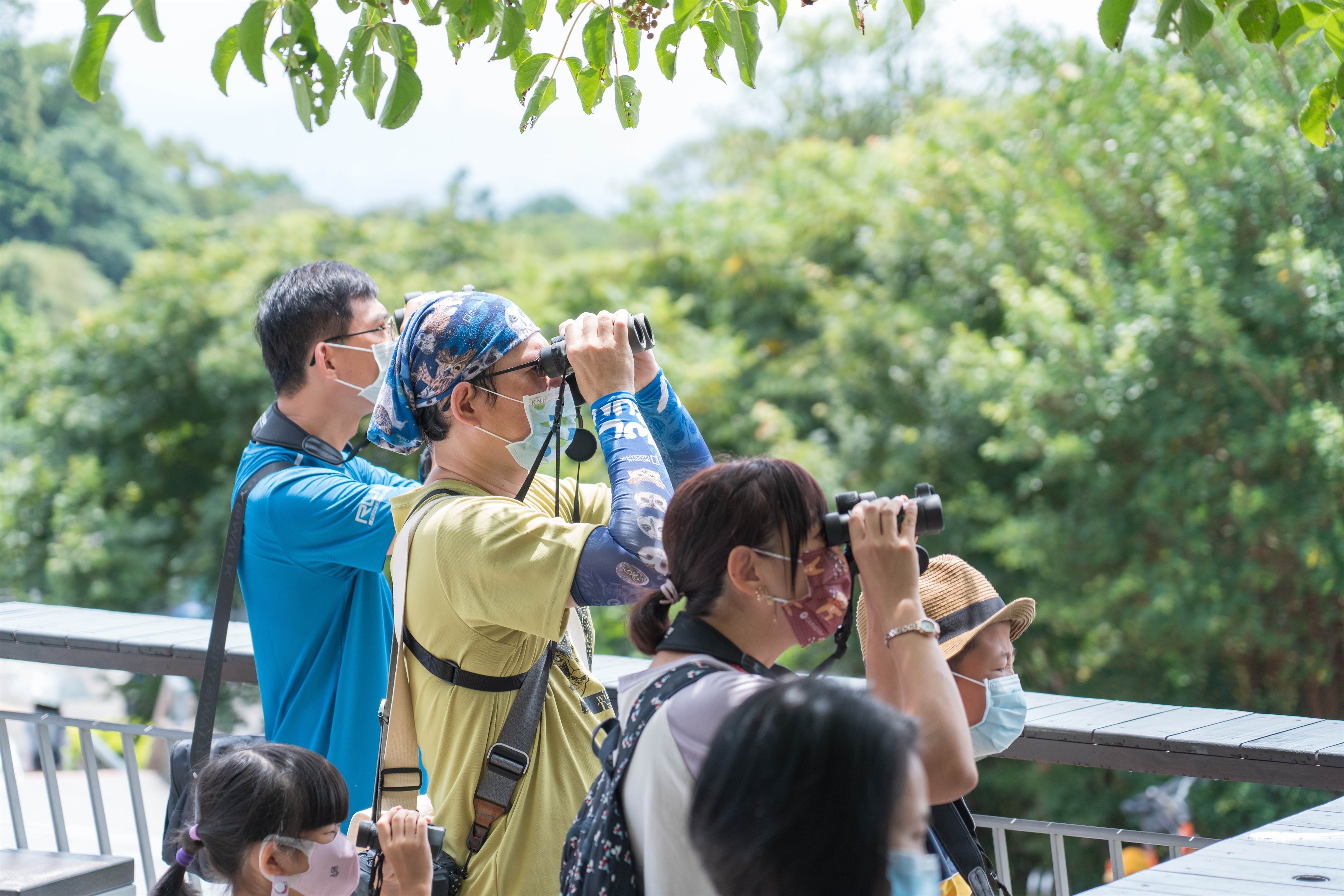 領略觀音山絕美時刻 北觀處2023 觀音觀鷹活動4月29日揭開序幕