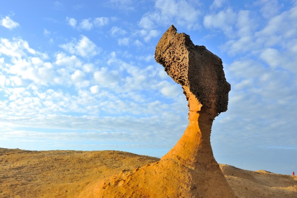 北觀處攜手皇冠海岸觀光圈夥伴打造綠色旅遊天堂，締造綠色未來  